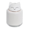Diffuser