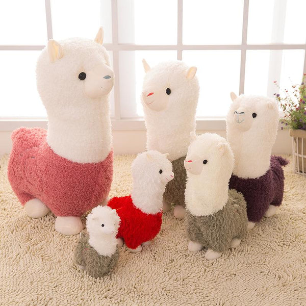 Alpaca