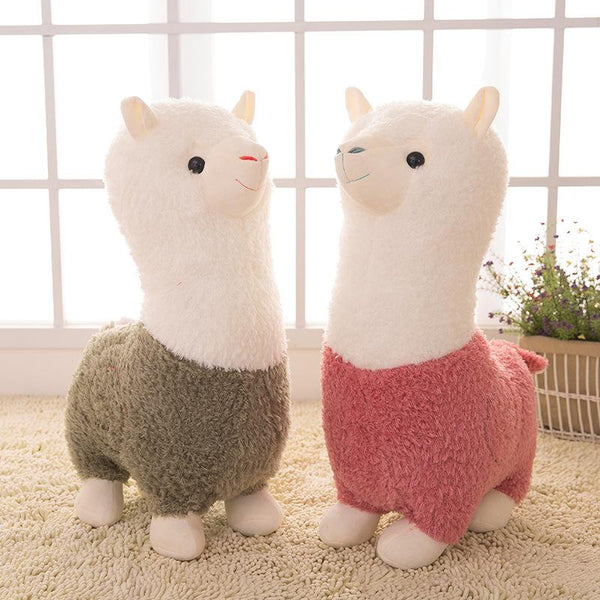 Alpaca