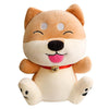 Shiba Inu